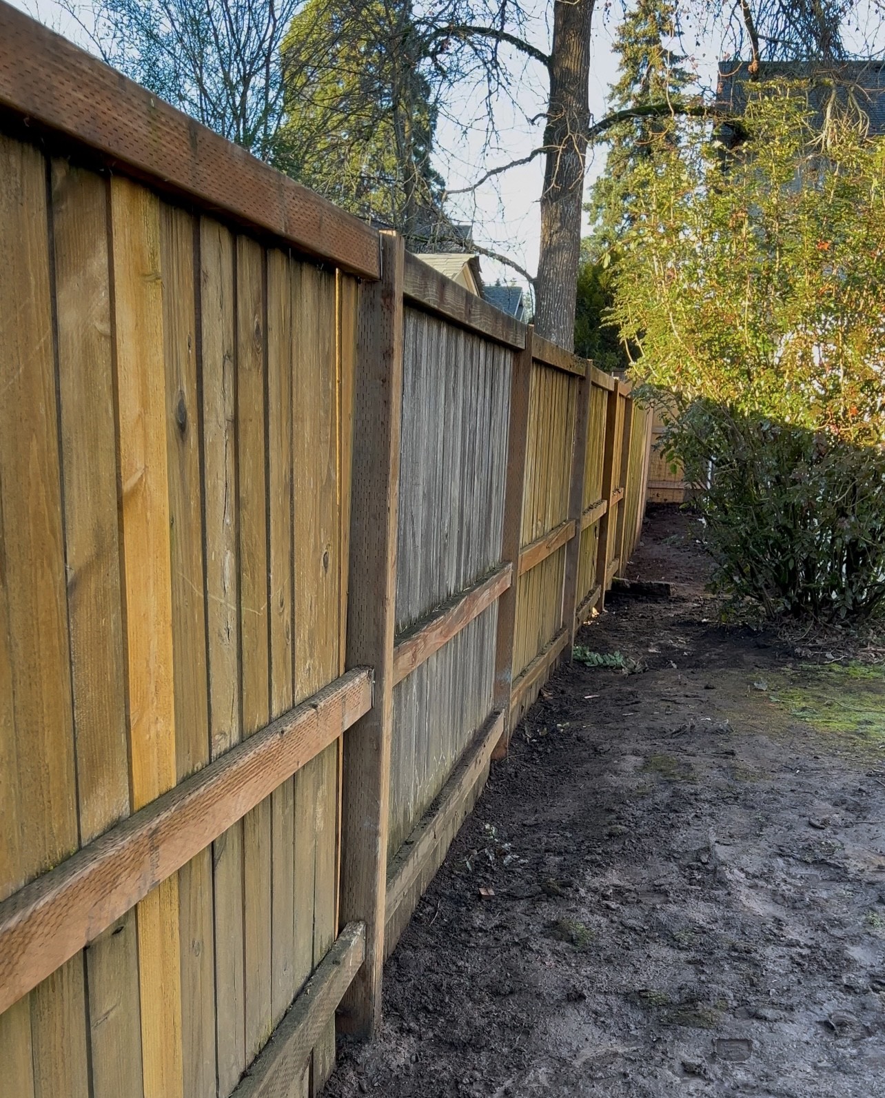 Wood Fence Build