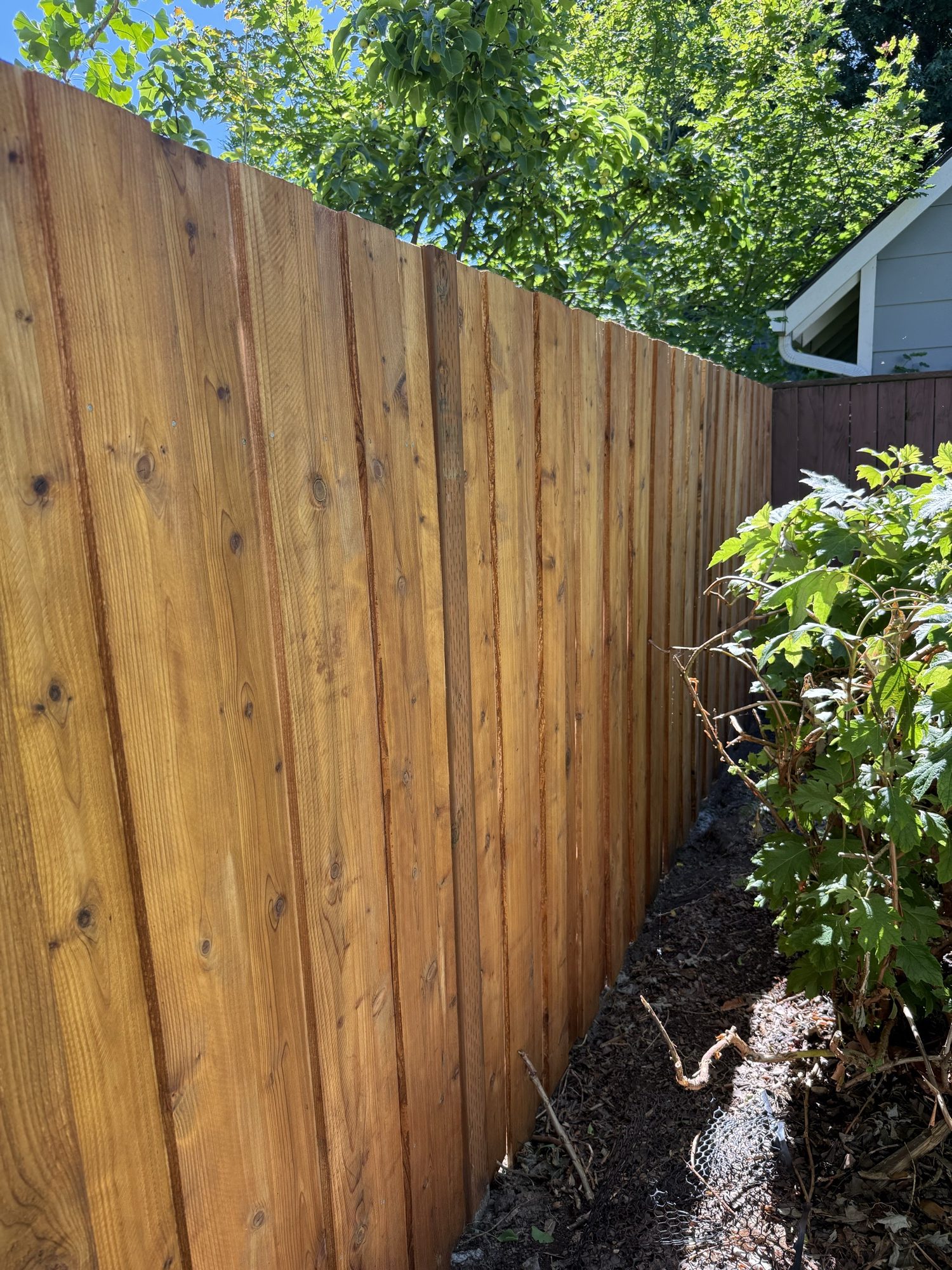 Cedar Privacy Perspective
